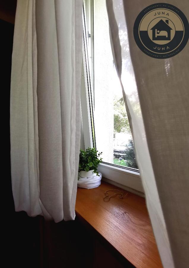 Juna - Nowoczesny Apartament W Centrum Z Widokiem Na Park ปรุชโคฟ ภายนอก รูปภาพ